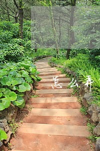 怎么弄离婚协议书 怎么弄离婚协议书