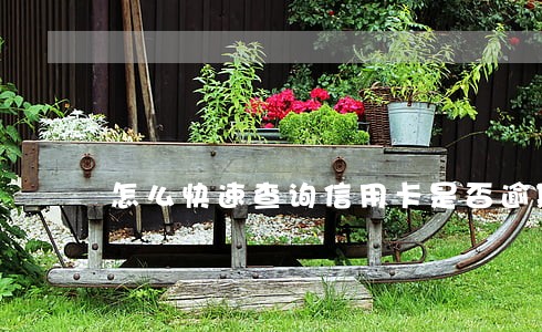 怎么快速查询信用卡是否逾期 怎么快速查询信用卡是否逾期