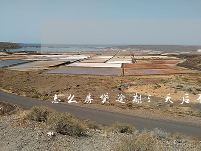 怎么房贷逾期5天后不最扣款