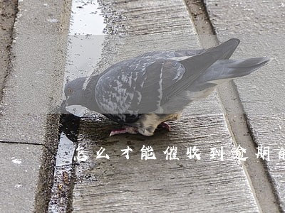 怎么才能催收到逾期的网贷 怎么才能催收到逾期的网贷