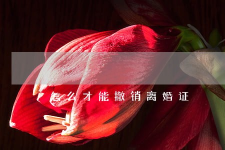 怎么才能撤销离婚证