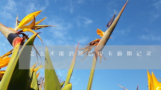 怎么才能消除信用卡逾期记录 怎么才能消除信用卡逾期记录