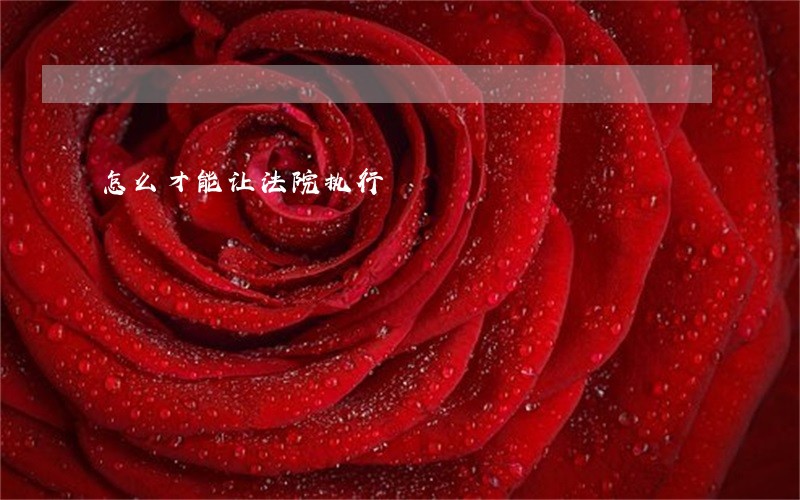 怎么才能让法院执行 怎么才能让法院执行