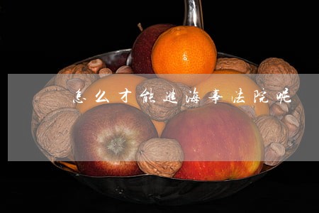 怎么才能进海事法院呢