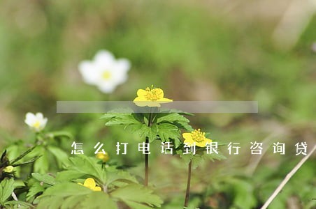 怎么打电话到银行咨询贷款逾期 怎么打电话到银行咨询贷款逾期