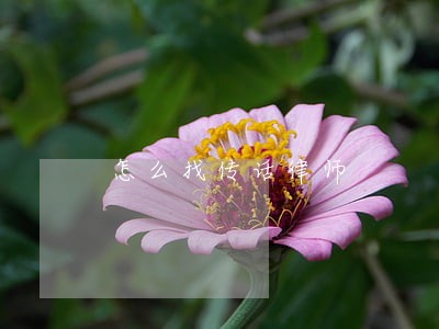 怎么找传话律师 怎么找传话律师