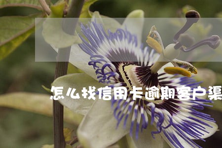 怎么找信用卡逾期客户渠道 怎么找信用卡逾期客户渠道