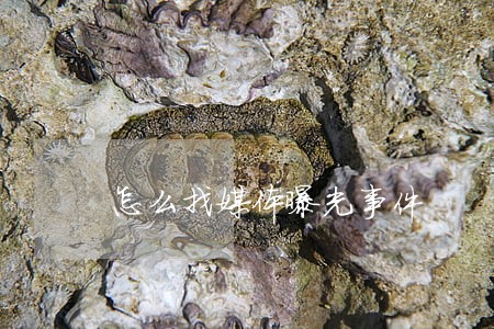 怎么找媒体曝光事件 怎么找媒体曝光事件