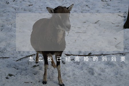 怎么找已经离婚的妈妈要钱 怎么找已经离婚的妈妈要钱