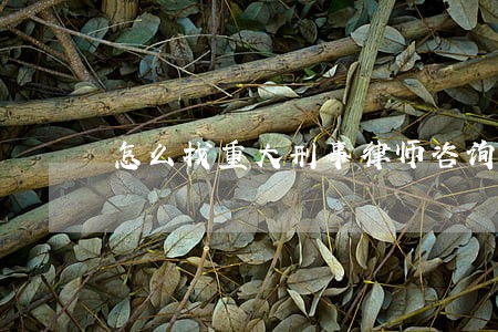 怎么找重大刑事律师咨询 怎么找重大刑事律师咨询
