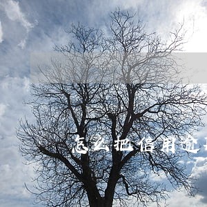 怎么把信用逾期清空 怎么把信用逾期清空