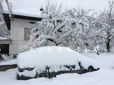 怎么抓信用卡逾期一年逃跑人员 怎么抓信用卡逾期一年逃跑人员