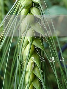 怎么投诉信用卡逾期收费 怎么投诉信用卡逾期收费