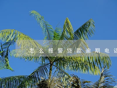 怎么报警贷款逾期电话骚扰 怎么报警贷款逾期电话骚扰