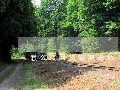 怎么接网贷逾期电话