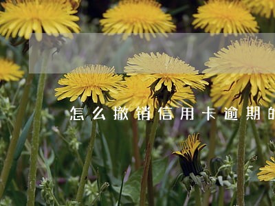 怎么撤销信用卡逾期的案子 怎么撤销信用卡逾期的案子