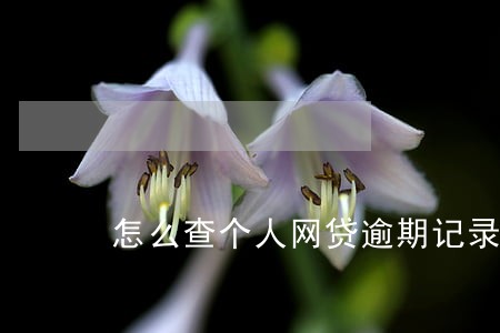 怎么查个人网贷逾期记录 怎么查个人网贷逾期记录