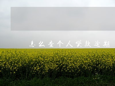 怎么查个人贷款逾期 怎么查个人贷款逾期