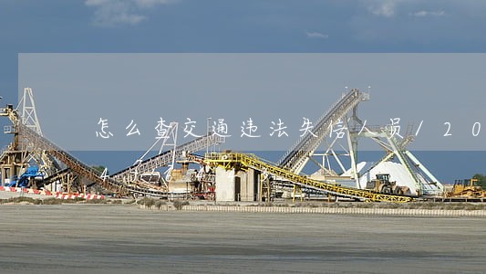 怎么查交通违法失信人员/2023020416443 怎么查交通违法失信人员/2023020416443
