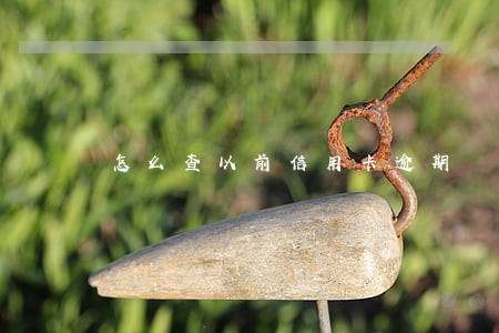 怎么查以前信用卡逾期