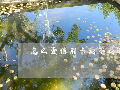 怎么查信用卡是不是逾期还款