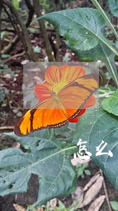 怎么查信用卡是否有过逾期记录 怎么查信用卡是否有过逾期记录