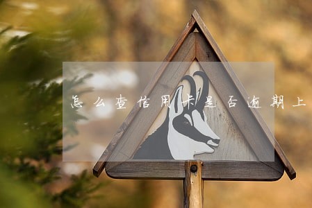怎么查信用卡是否逾期上征信 怎么查信用卡是否逾期上征信