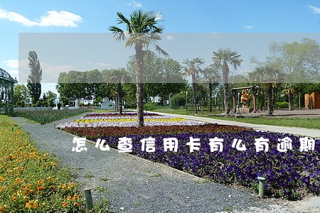 怎么查信用卡有么有逾期