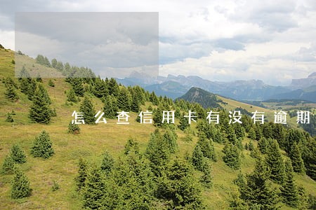 怎么查信用卡有没有逾期历史 怎么查信用卡有没有逾期历史