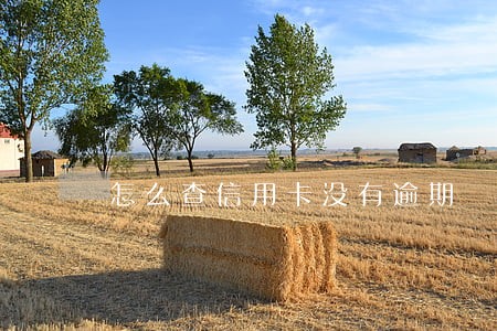 怎么查信用卡没有逾期 怎么查信用卡没有逾期
