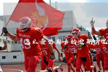 怎么查信用卡的逾期情况说明 怎么查信用卡的逾期情况说明