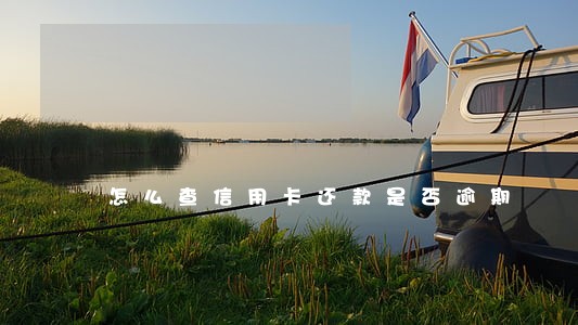 怎么查信用卡还款是否逾期 怎么查信用卡还款是否逾期