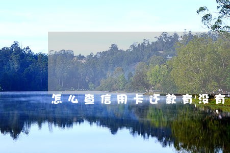怎么查信用卡还款有没有逾期 怎么查信用卡还款有没有逾期