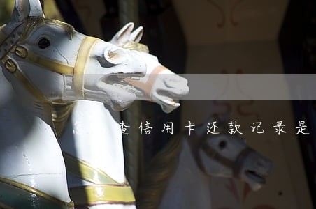 怎么查信用卡还款记录是否逾期