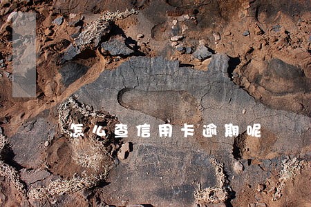 怎么查信用卡逾期呢 怎么查信用卡逾期呢