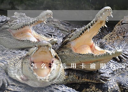 怎么查信用卡逾期有没有上征信 怎么查信用卡逾期有没有上征信