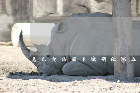 怎么查信用卡逾期法院立案 怎么查信用卡逾期法院立案