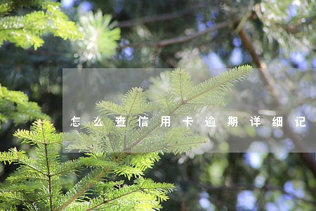 怎么查信用卡逾期详细记录吗 怎么查信用卡逾期详细记录吗