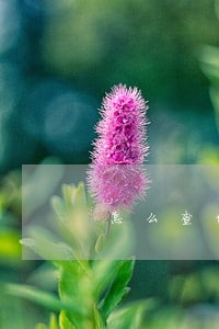 怎么查信用是否有逾期 怎么查信用是否有逾期
