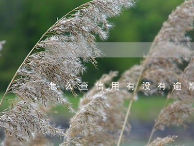 怎么查信用有没有逾期记录 怎么查信用有没有逾期记录