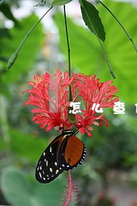 怎么查信用逾期还有几年清零 怎么查信用逾期还有几年清零