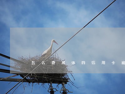 怎么查具体的信用卡逾期