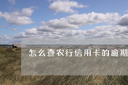 怎么查农行信用卡的逾期 怎么查农行信用卡的逾期