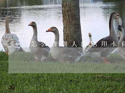 怎么查别人的信用卡有没有逾期 怎么查别人的信用卡有没有逾期