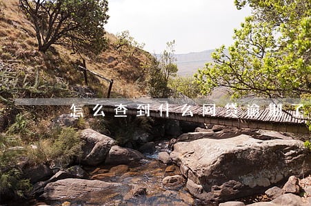 怎么查到什么网贷逾期了 怎么查到什么网贷逾期了