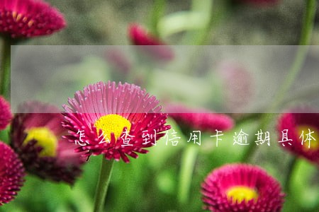 怎么查到信用卡逾期具体月份 怎么查到信用卡逾期具体月份