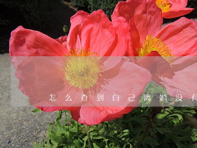 怎么查到自己离婚没有 怎么查到自己离婚没有