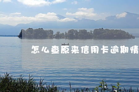 怎么查原来信用卡逾期情况说明