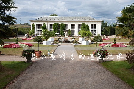 怎么查对方的违法记录 怎么查对方的违法记录