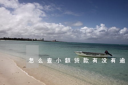 怎么查小额贷款有没有逾期 怎么查小额贷款有没有逾期